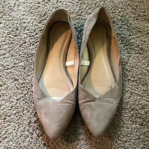 A New Day Pointed Ballet Flats